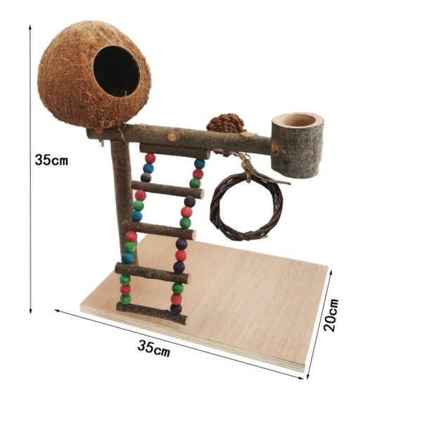 Solid Wood Parrot Station Frame Training Bird Shelf Parrot Toys - Image 4