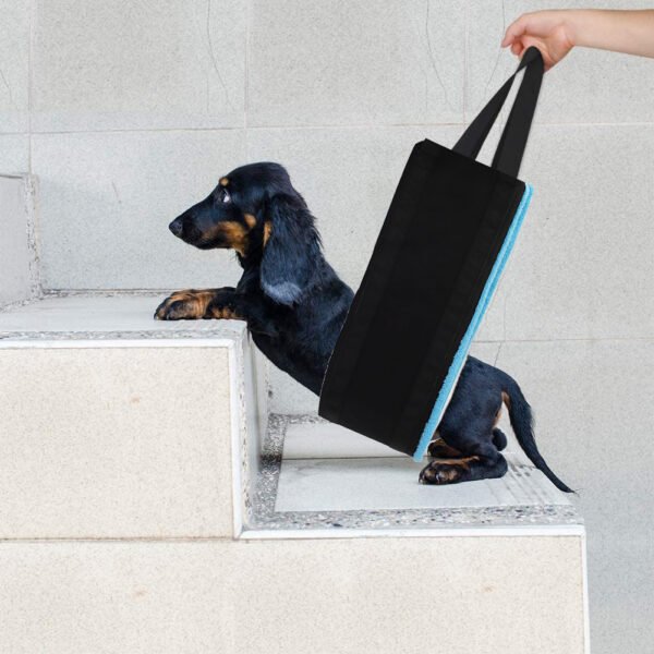 Dog Auxiliary Belt Pet Power