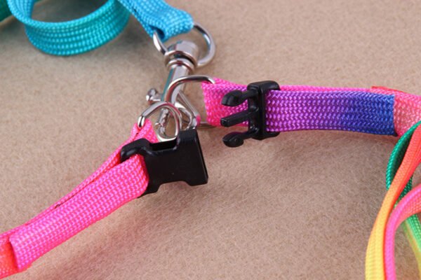 Leashes colorful leashes - Image 5
