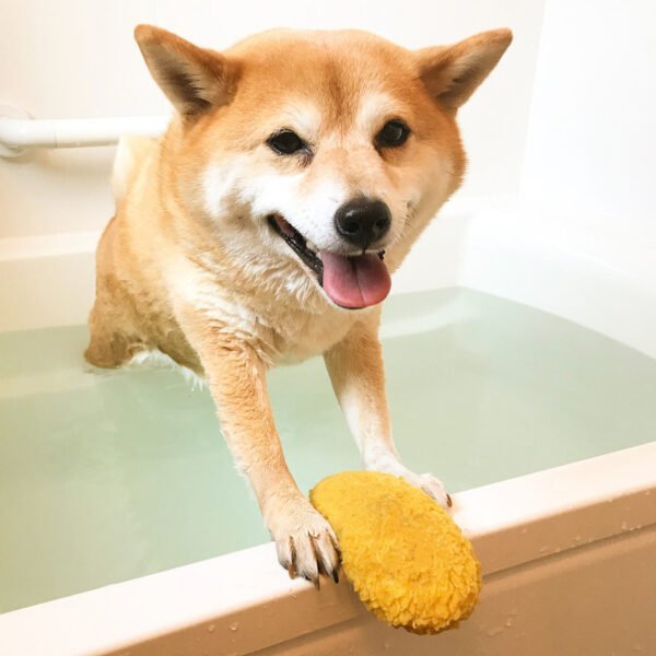 Fried Shrimp Tempura Dog Pet Chew Bite Squeaky Toy Cute Stuffed - Image 5