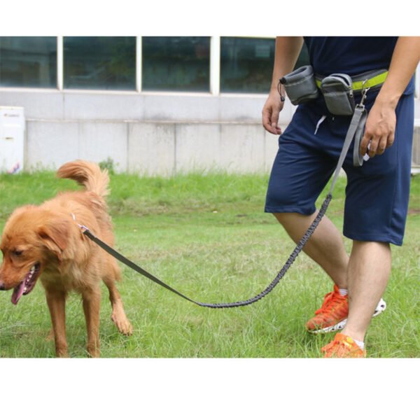 Adjustable Hands Free Dog Leash - Image 3