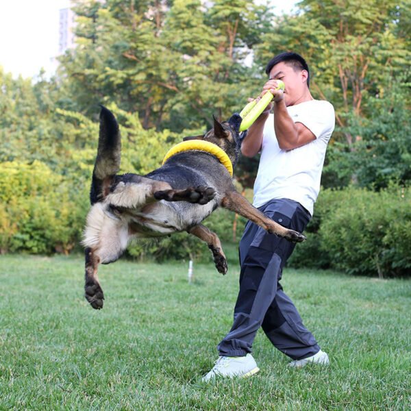 Pet Dog Training Toy Pull Ring - Image 5