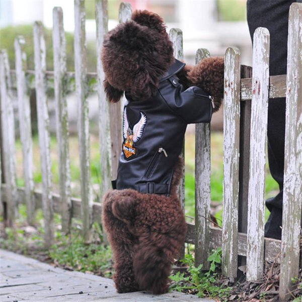 Dog coat - Image 2