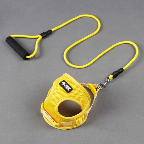 Dog leash & harness - Image 7