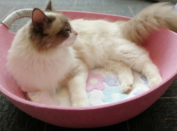 Pet Perch Cat Scratcher Bed House - Image 5