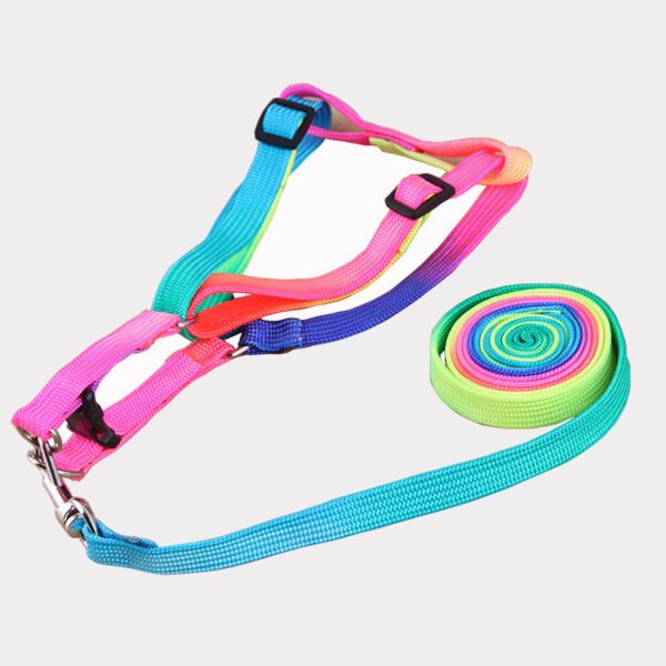 Leashes colorful leashes - Image 2
