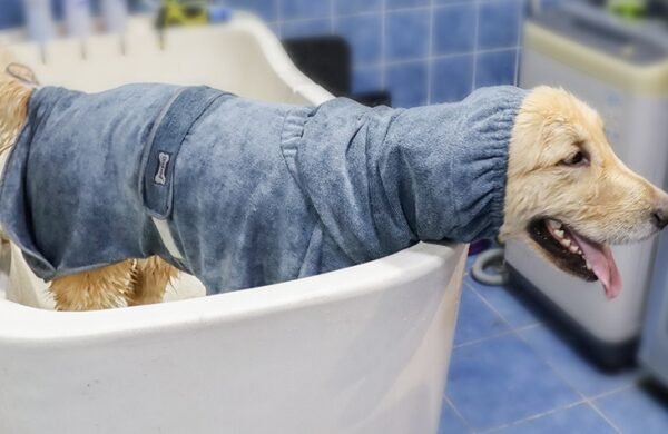 Pet Bathrobe Cotton Dog Towel Is Highly Absorbent - Image 10