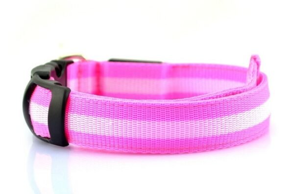 Manufacturer's spot 2.5cm stripe fiber LED luminous pet collar dog ring 6 color 3 size - Image 8