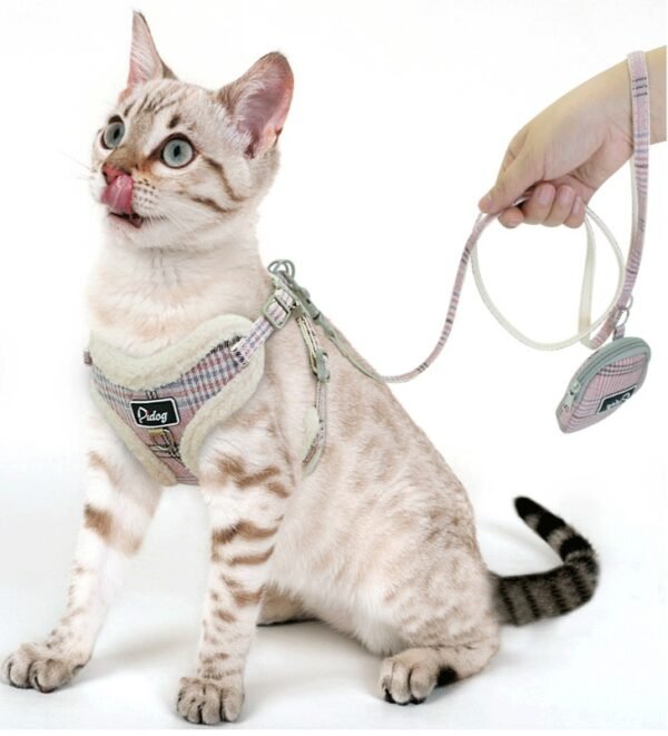 Puppy dog leash - Image 6
