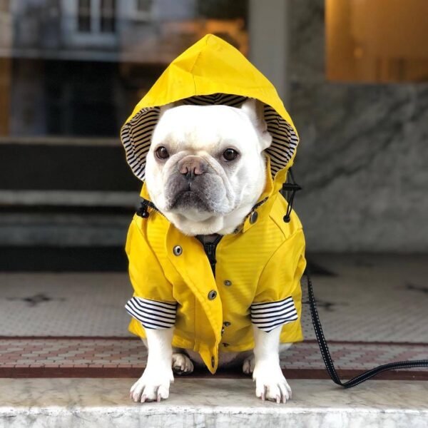 Dog Raincoat Pet Clothes Dog Clothes Rain Water - Image 5