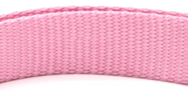 New Pet Collar - Image 5