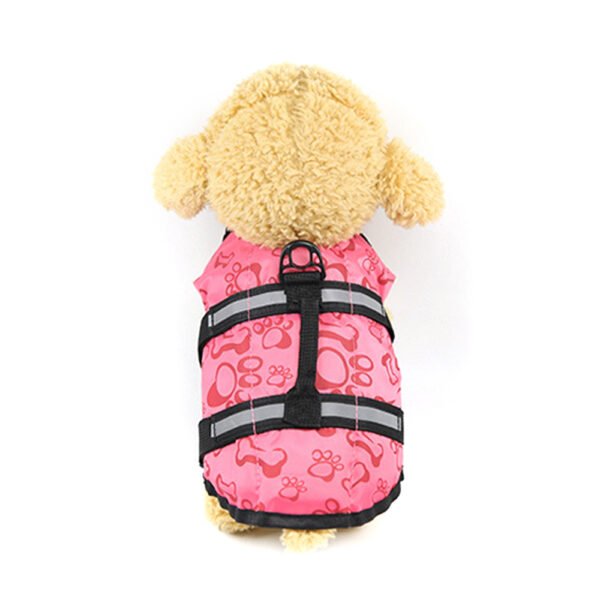 Large and small dogs - Image 5