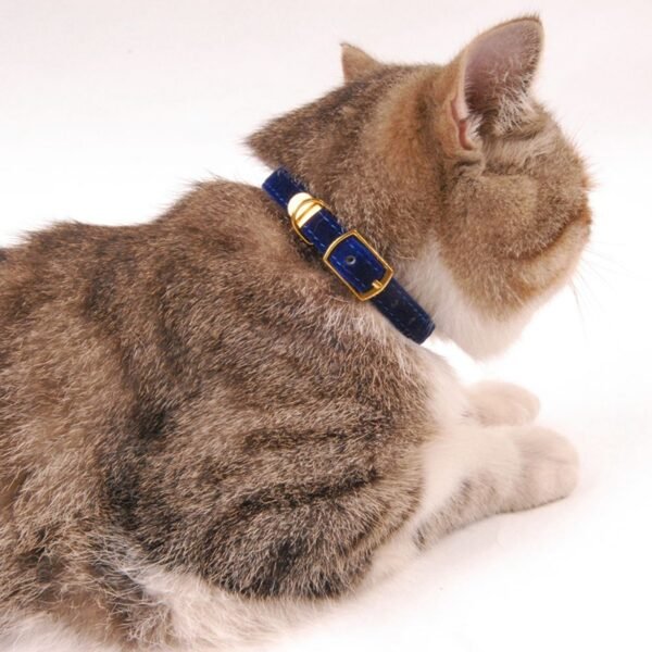 Pet supplies cat collar - Image 2
