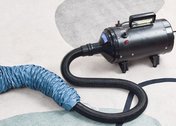 Automatic Drying Bag With Quick Drying Hair Dryer For Bathing - Image 4