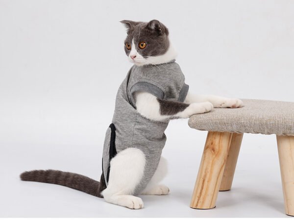 Pet Cat Recovery After Surgery Clothing Pet Wound Anti-mite Sterilization Suit - Image 4