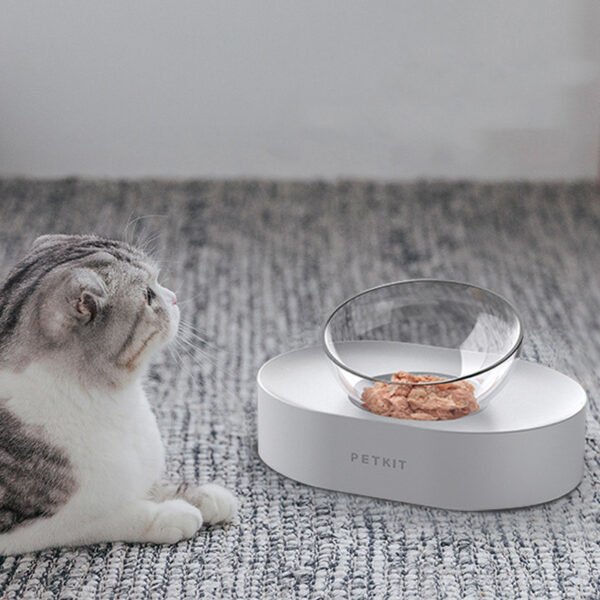 Adjustable Stainless Steel Pet Dog Cat Double Bowls Anti-Slip - Image 9