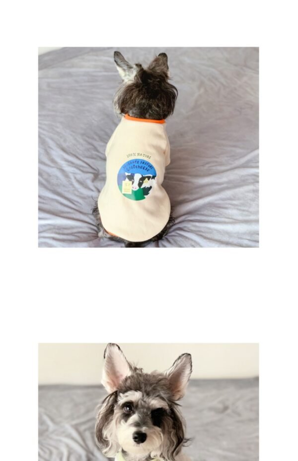 Clothes For Small Milk Cats To Keep Warm In Spring And Autumn British Short Pets - Image 10