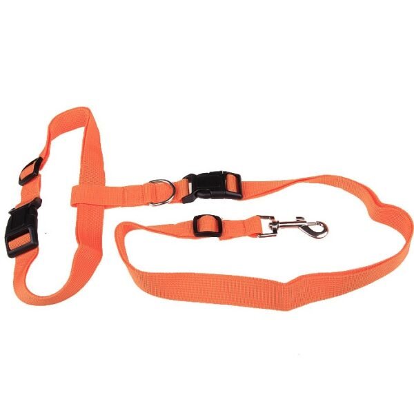 Explosive Pet Car Rear Seat Ring Safety Rope - Image 10