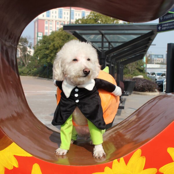 Halloween funny pet cat dog clothes for pets