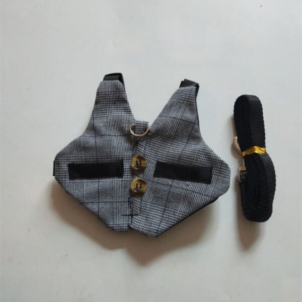 Rabbit leash rabbit dress - Image 5