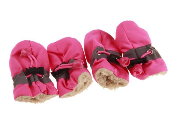 Dog Shoes - Image 8