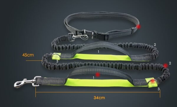 Amazon direct pet supplies multi-function running reflective pull dog leash double elastic dog leash traction - Image 7