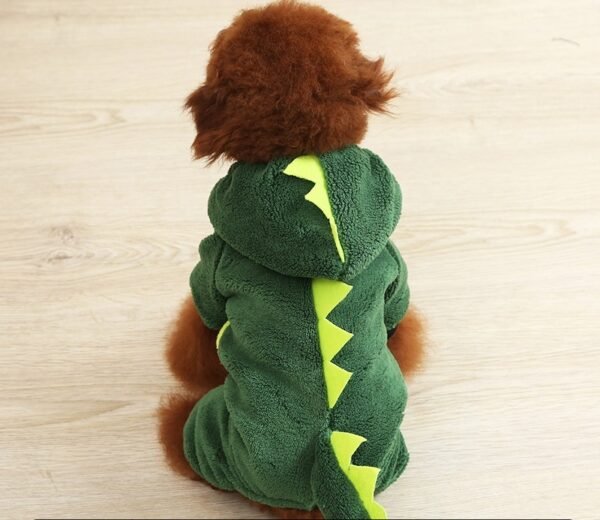 Autumn And Winter Transformed Into Dog Pet Costumes - Image 3
