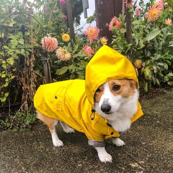 Dog Raincoat Pet Clothes Dog Clothes Rain Water - Image 6