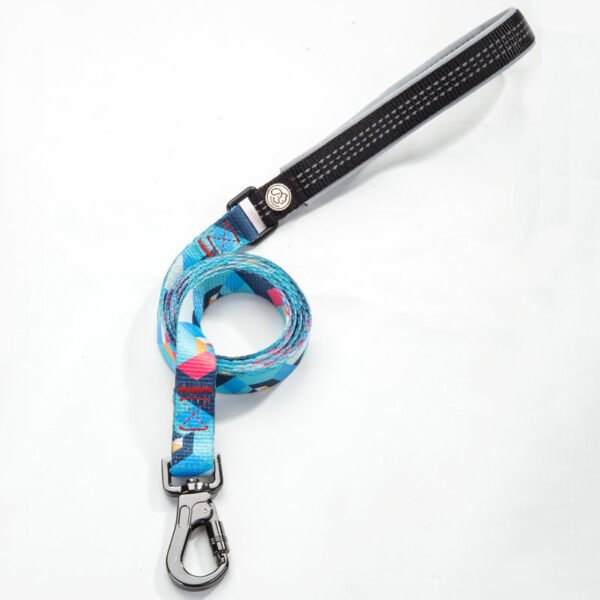 Pet supplies dog leash - Image 5