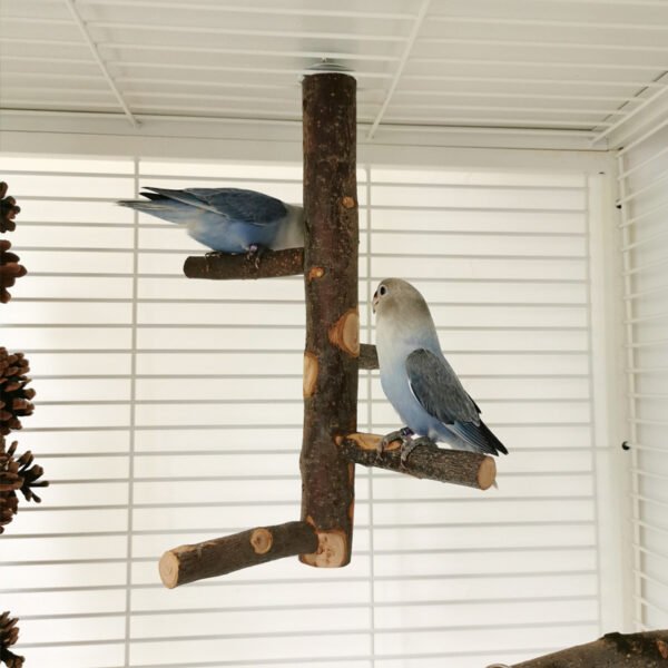 Parrot Bird Wood Stand Pole Toy - Image 7