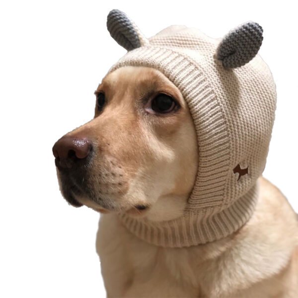 Knitted Large Dog Golden Retriever Warm And Windproof Hat