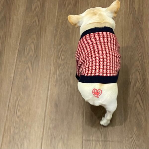 Fashion Cute Print Winter Pet Clothes Winter Sweater - Image 6