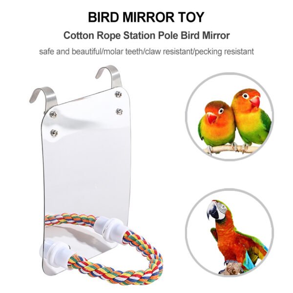 Parrot Toy Acrylic Bird With Mirror - Image 4