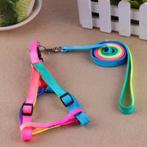 Leashes colorful leashes - Image 7