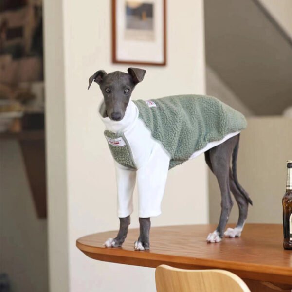 Small And Medium Dog Clothes Whybit Greyhound Accessories - Image 4