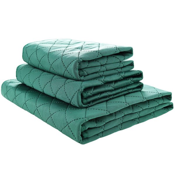 Natural Bamboo Fiber Pet Fixed-point Training Deodorant Moisture-proof Dog Mat - Image 3