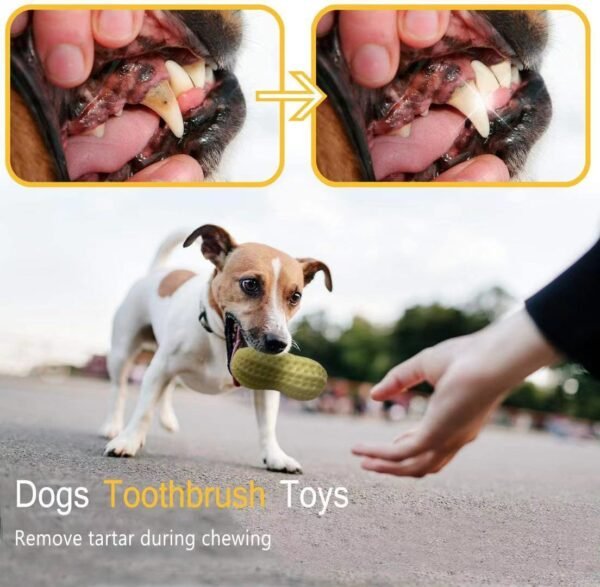 Funny Pet Dog Squeaky Toys For Small Middle Dogs Bite Resistant Puppy Cat Dogs Toys Pets Rubber Peanut Clean Tooth Chew Toy - Image 7