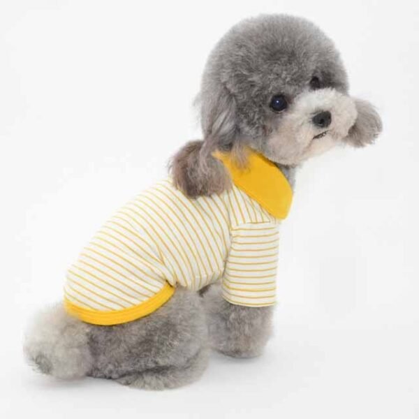Clothes For Pets - Image 5