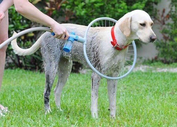Fully automatic 360 degree pet supplies bath ring - Image 5