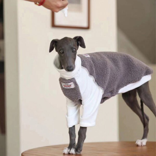 Small And Medium Dog Clothes Whybit Greyhound Accessories - Image 3