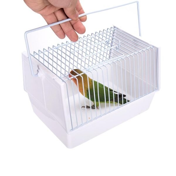 Out of the bird cage - Image 4