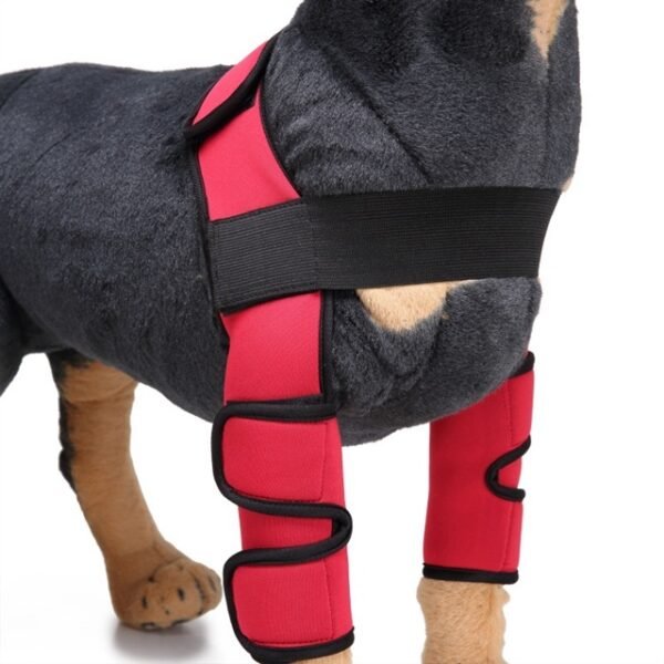 Pet  Dog Knee Pads Support Brace 1pair - Image 5