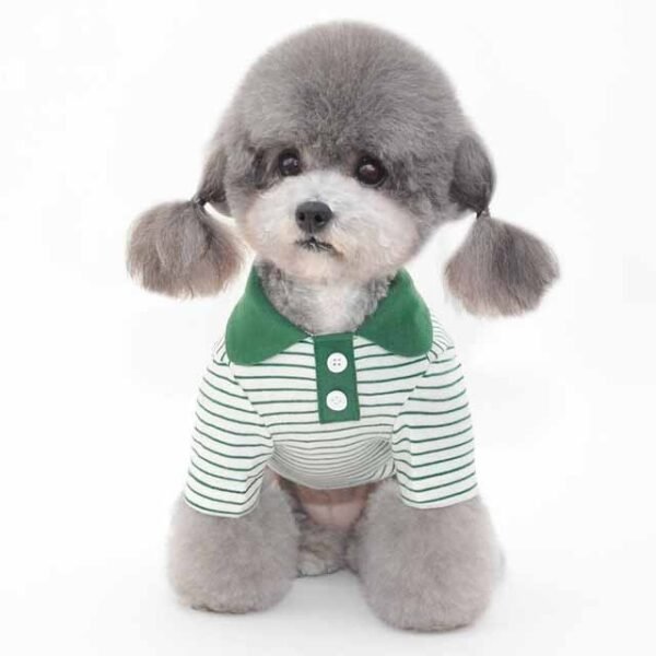 Clothes For Pets - Image 4