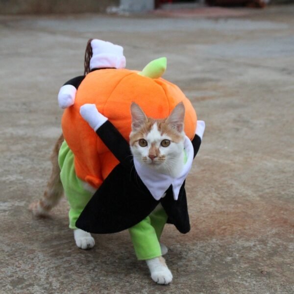 Halloween funny pet cat dog clothes for pets - Image 4