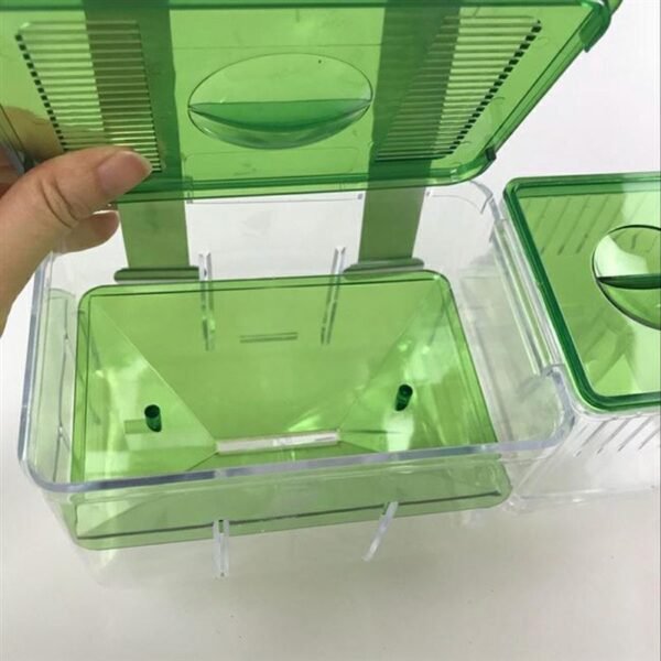 Hatching fish tank guppy sick fish isolation box fighting fish - Image 2