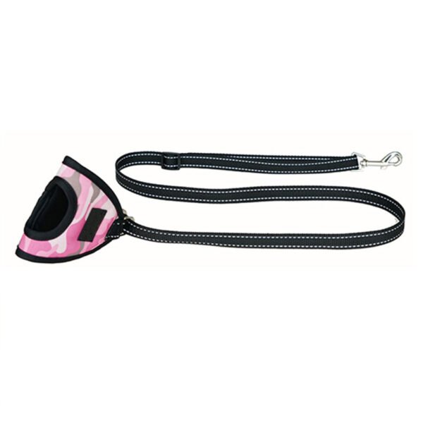 A pet on a harness - Image 2