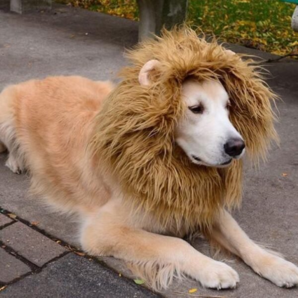 Cute Pet Cosplay Clothes Transfiguration Costume Lion Mane Winter Warm Wig Cat Large Dog Party Decoration With Ear Pet Apparel - Image 2