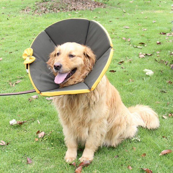Pet Supplies Dog Sick Care Collar - Image 5