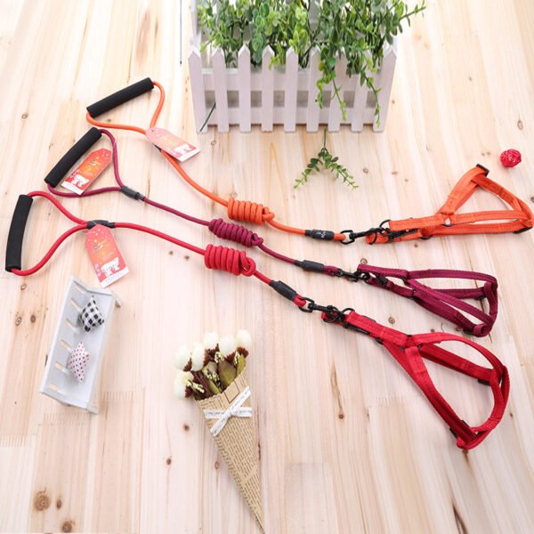 Pet nylon leash - Image 5