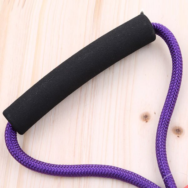 Pet nylon leash - Image 3